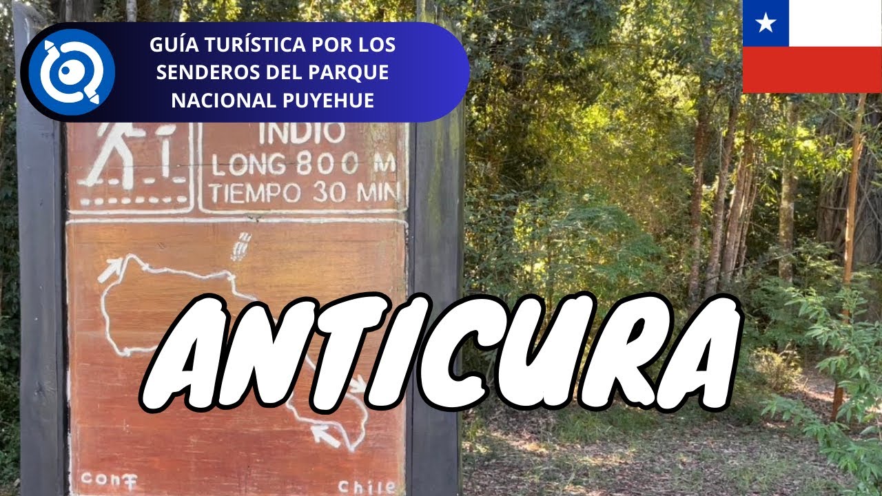 Anticura, Parque Nacional Puyehue | Chile (Qu&eacute; Ver y Hacer)