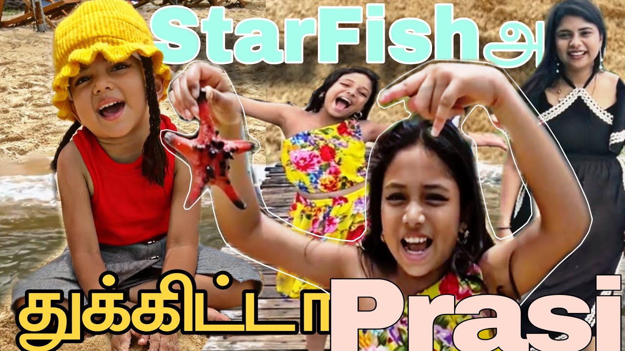 Roma Thrilling நடுகடல் பயணம்⁉️பயமில்லா Prac Playing With StarFish❗Beach Vibes🥺Emotional வீட்டுக்காரு