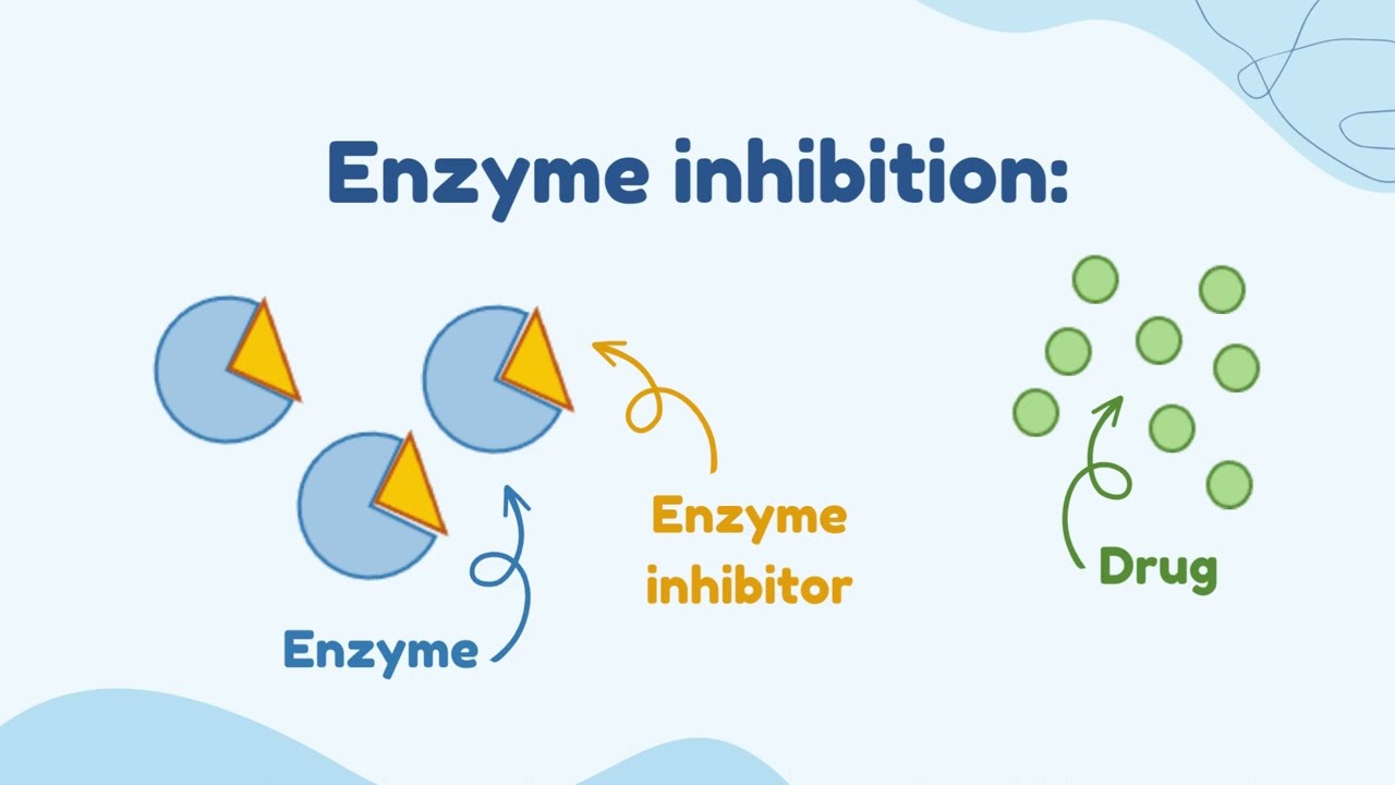 Enzyme Induction VS Enzyme Inhibition