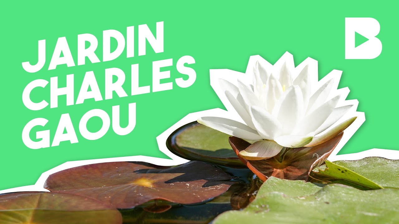 Jardin Charles Gaou - Brignoles 2019