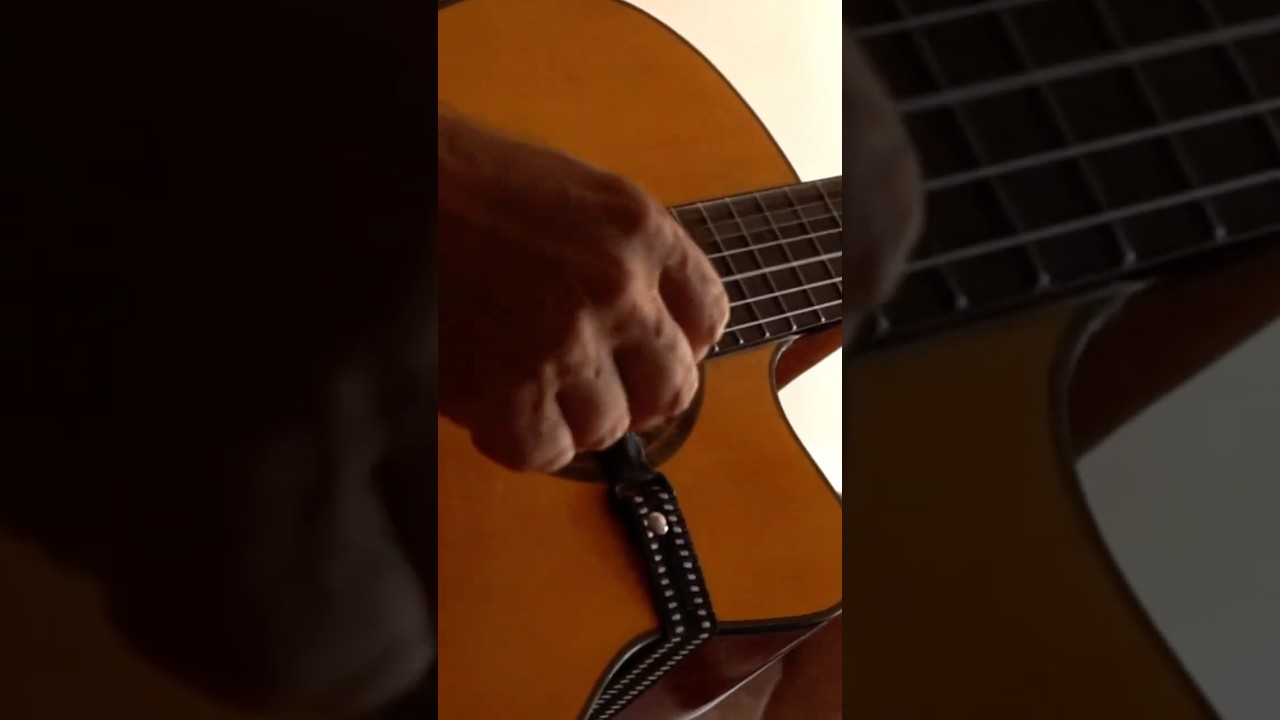 Latin Dance Pop | Acoustic Guitar with EDM