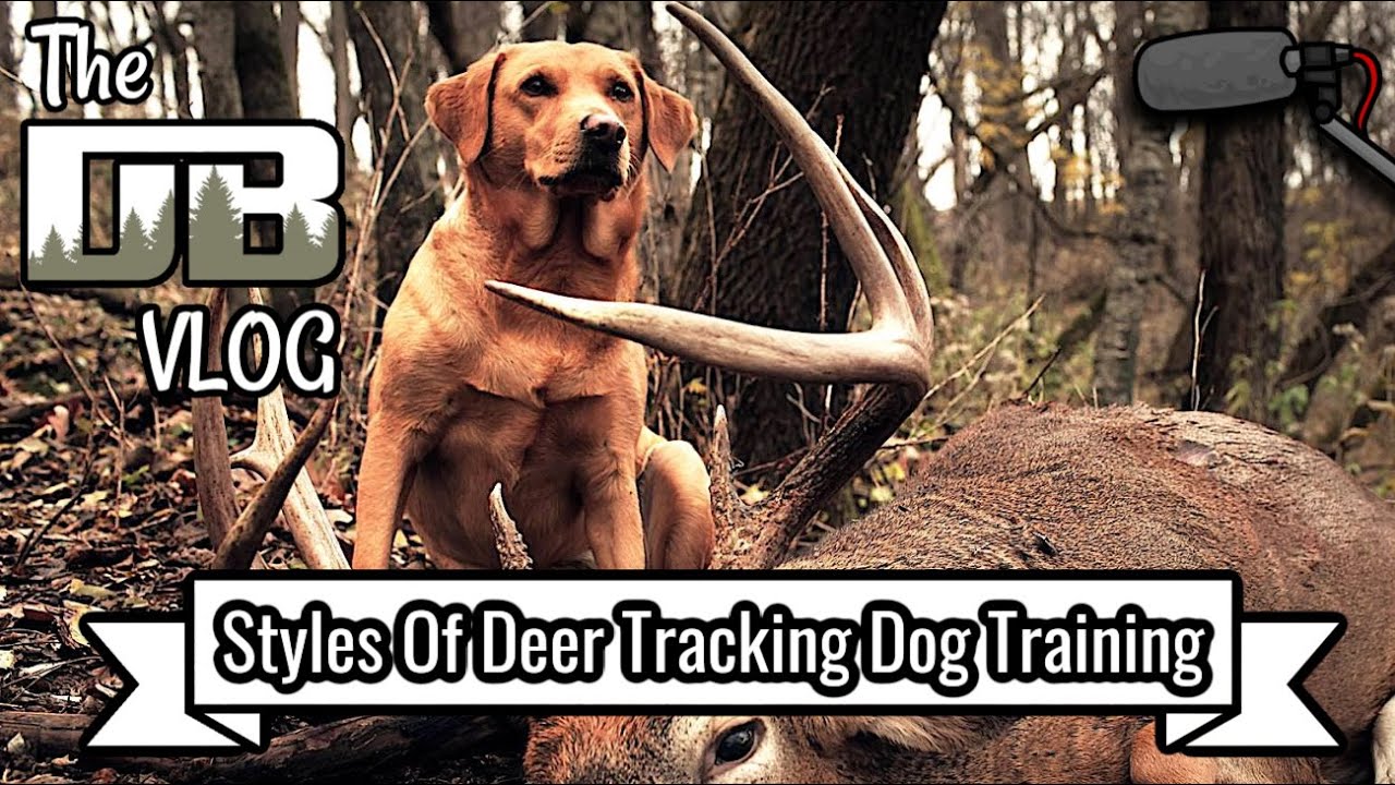 Deer Tracking Dog Training w/ Dean Muthig of Muckdog's Deer Recovery & Training Kennel | Ep: #257