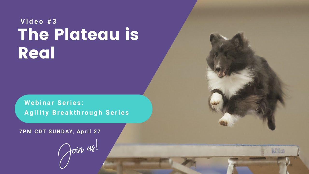 The Plateau is Real (Agility Breakthrough Series Video #3)
