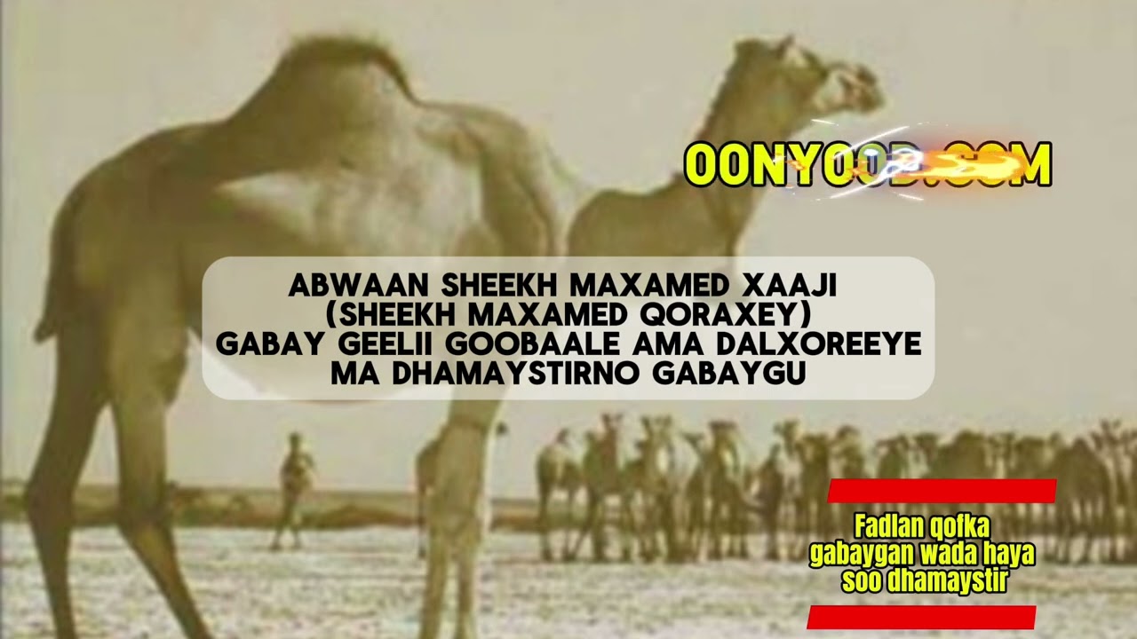GEELII GOOBAALE, ABWAAN SHEEKH MOHAMED XAJI MAXAMUUD,    SHEEKH MOHAMED QORAX, GEELII GOOBAALE