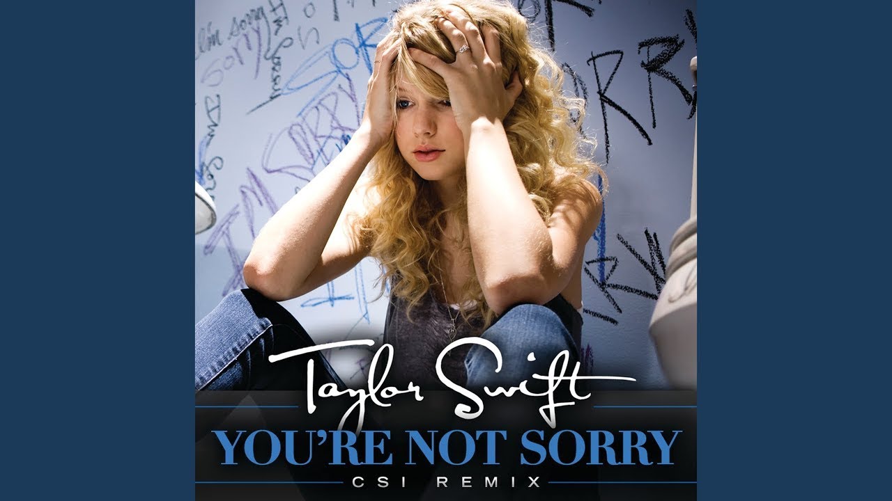 Taylor Swift - You're Not Sorry (CSI Remix) [Instrumental with Backing Vocals]