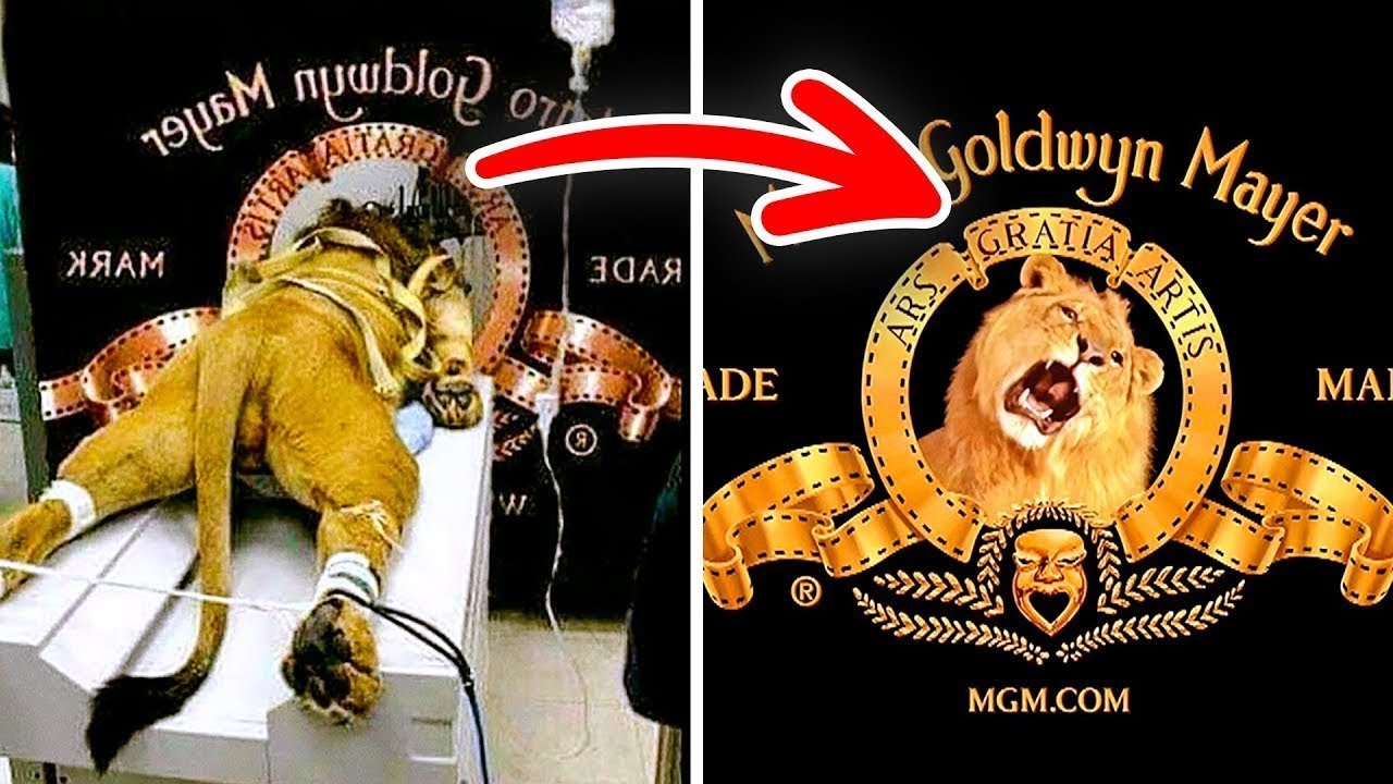 12 Fatos Incríveis Sobre Logos Famosos que Você não Sabia