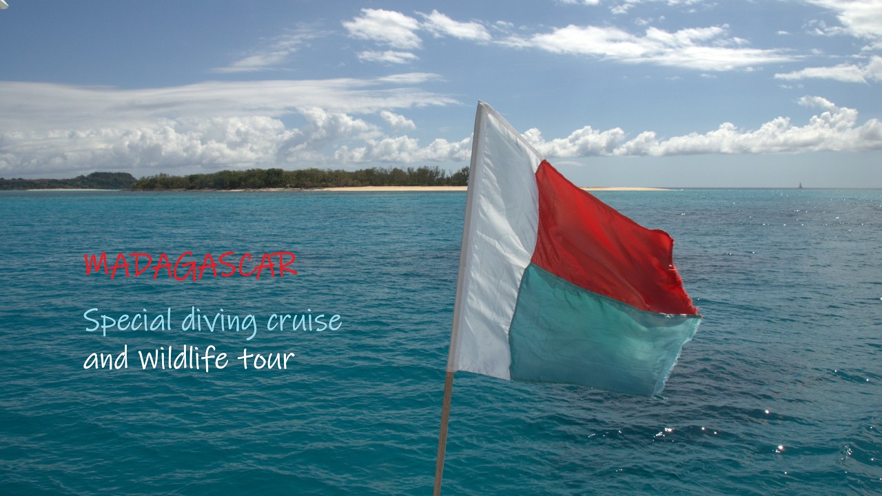Madagaskar Nosy Be Tauchen Lemuren Omurawal Wildlife Scubadiving Madagascar remote island diving