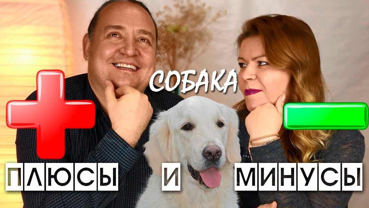 СОБАКА В СЕМЬЕ / ПЛЮСЫ И МИНУСЫ