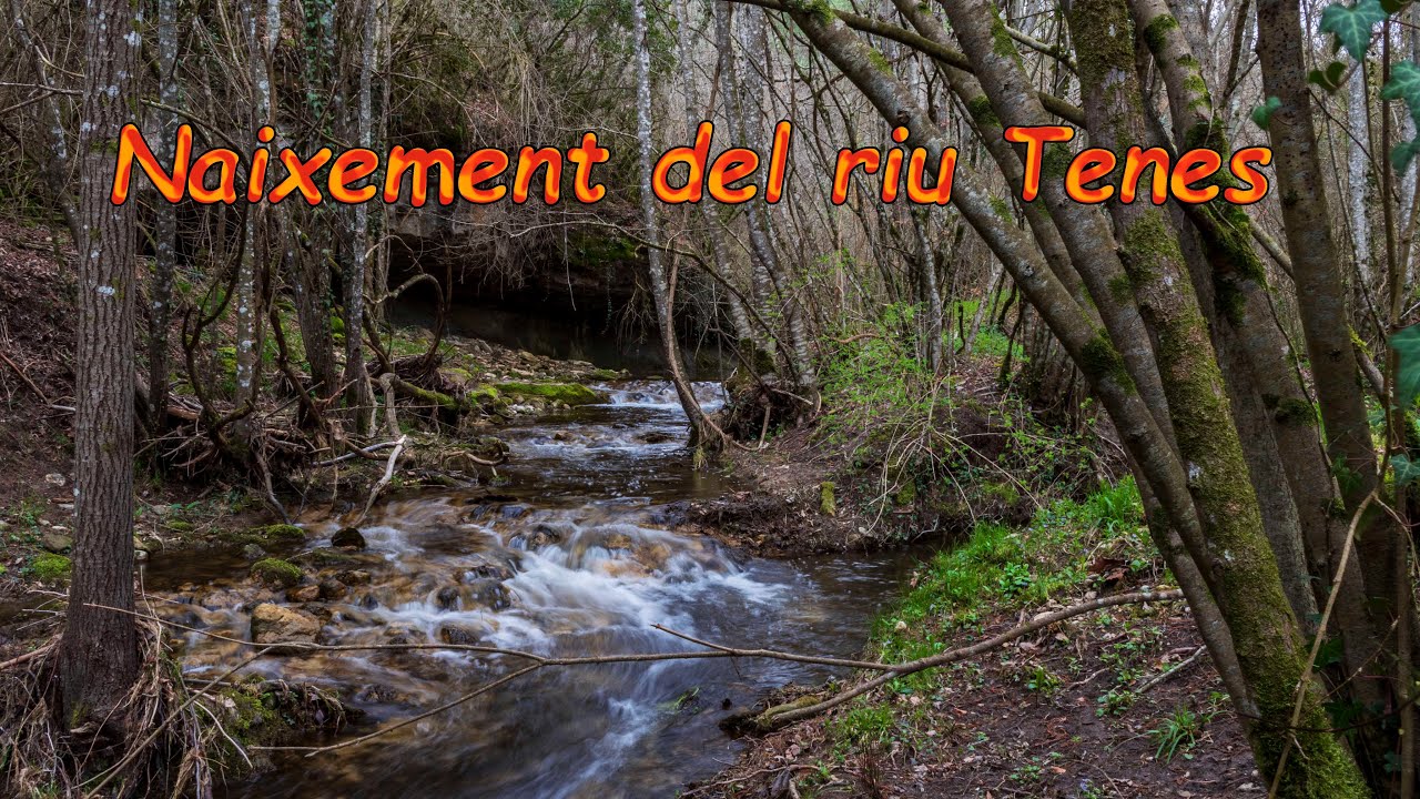Naixement del riu Tenes