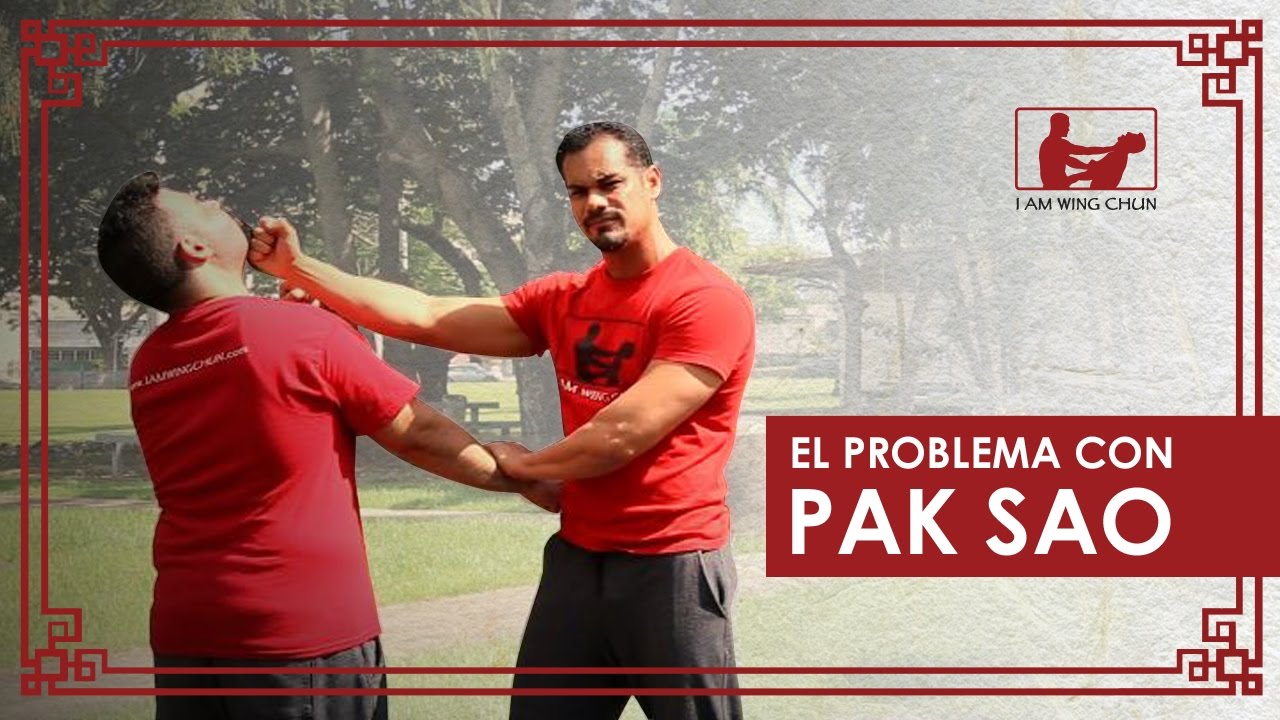 PROBLEMAS DEL WING CHUN #1: EL PROBLEMA CON PAK SAO