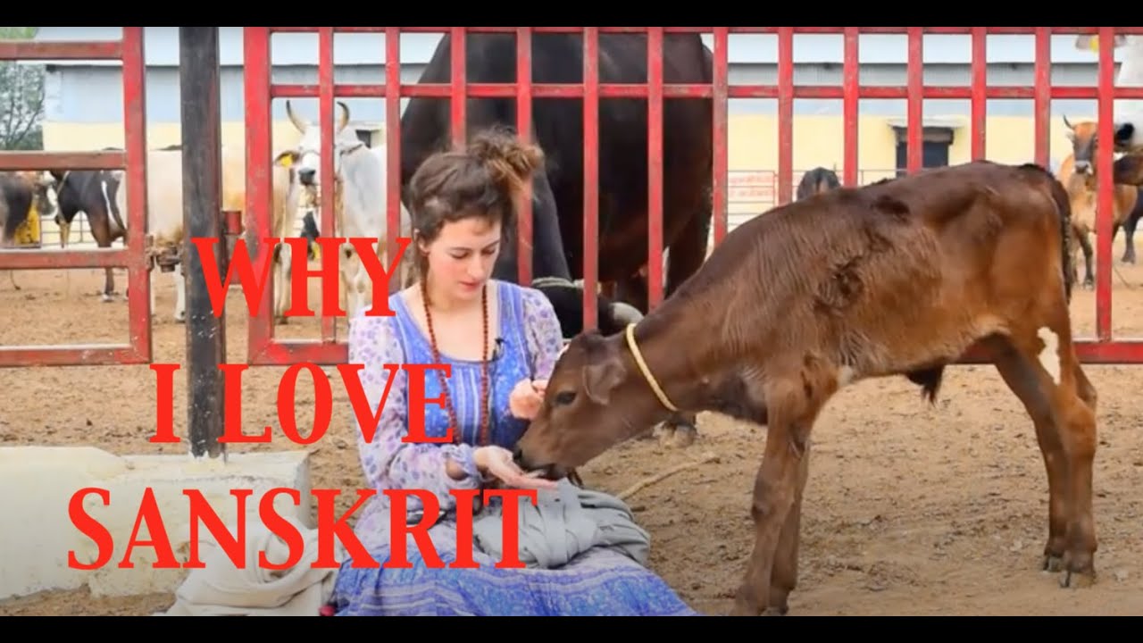 Why I Love Sanskrit (in Sanskrit!)