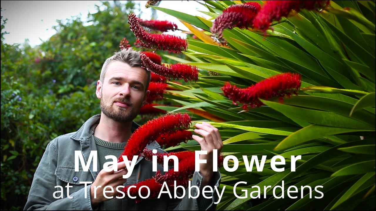 Май в цветущих садах аббатства Треско