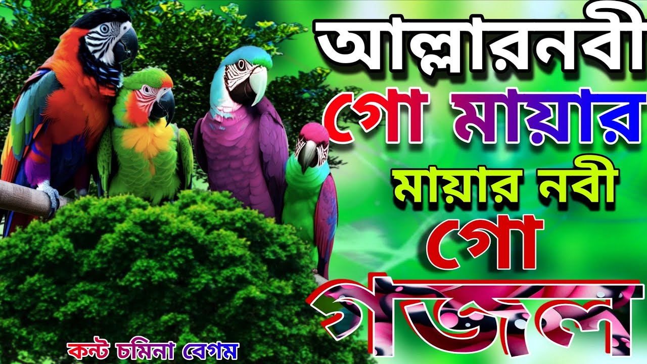 আল্লার নবী গো মায়ার নবী গো কোন সাদনে পাইবো তুমারে সেরা ৩টি নতুন গজল // Somina Begum // bangla gojol