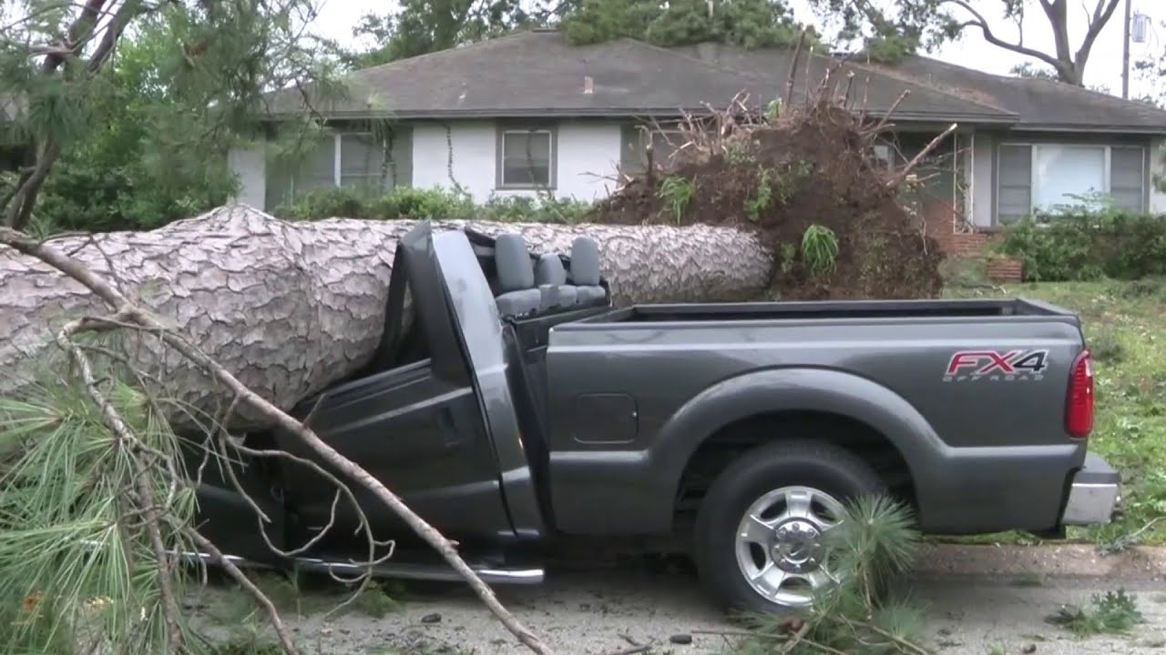 Houston Heights residents begin clean-up after severe thunderstorm sends trees onto cars, houses