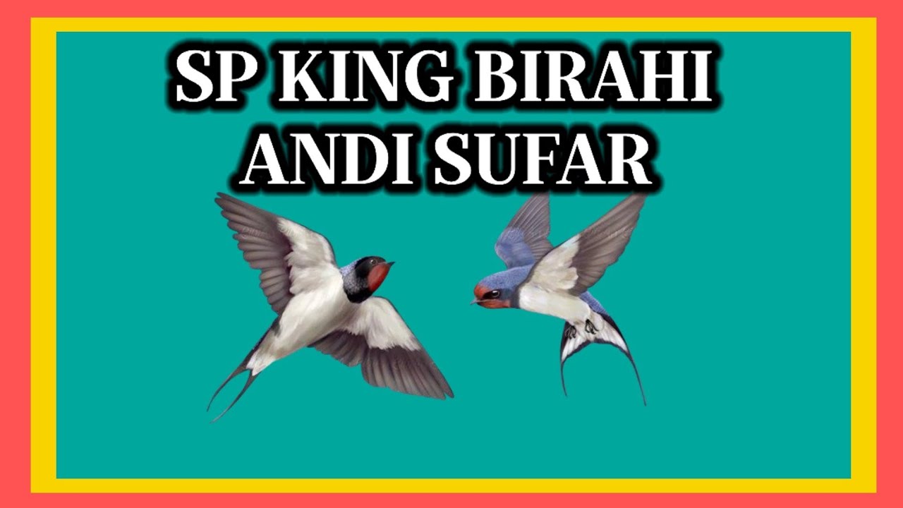 SP KING BIRAHI MILIK ANDI SUFAR