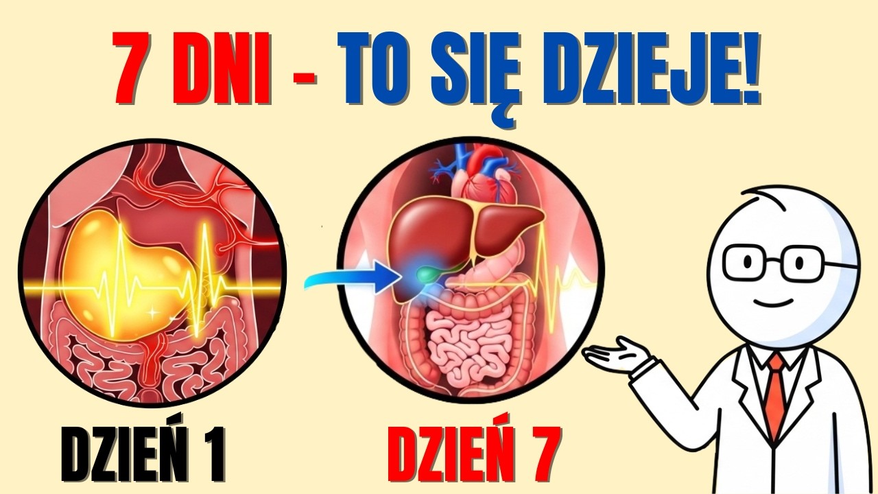 Co Naprawdę Dzieje Się z Tłuszczem Trzewnym w 7 Dni Deficytu? (Nauka Wyjaśnia)