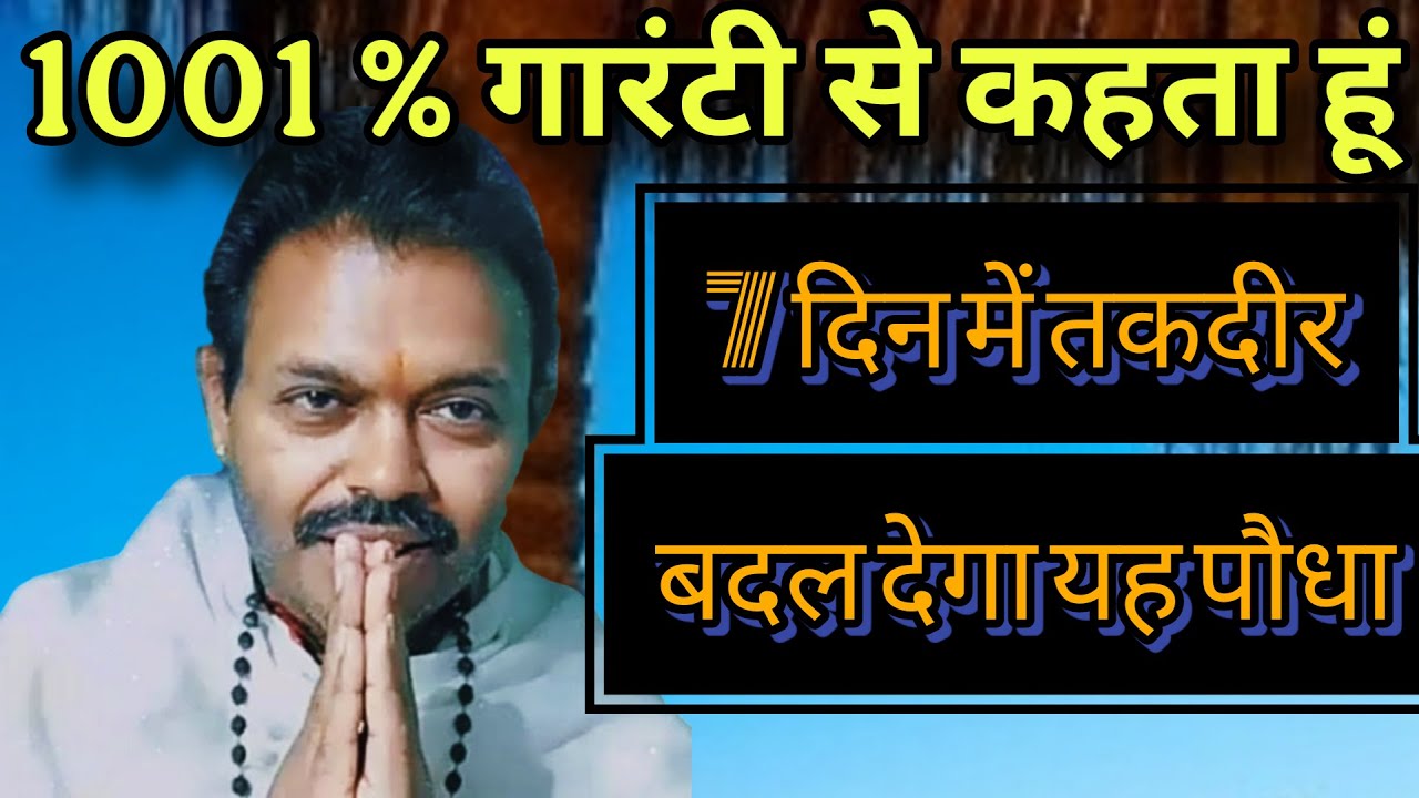 1001 % गारंटी है यह पौधा 7 दिन में तकदीर बदल देगा// #Miracle_plant