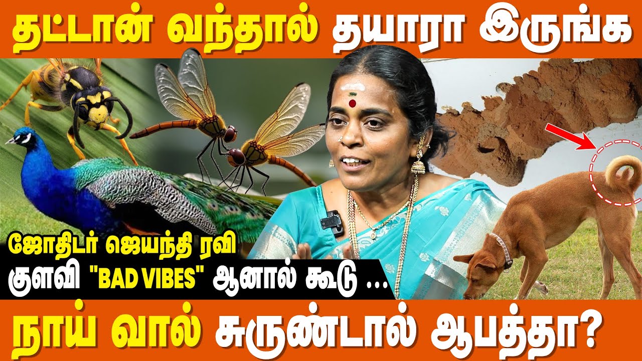 உயிரை கொடுக்கும் நாய்கள் - மக்கள் கேள்வி பதில் - Jothidar Jayanthi Ravi | Lucky Pets For Home