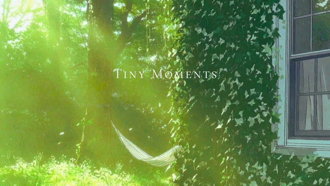 a piano playlist for quiet moments in nature