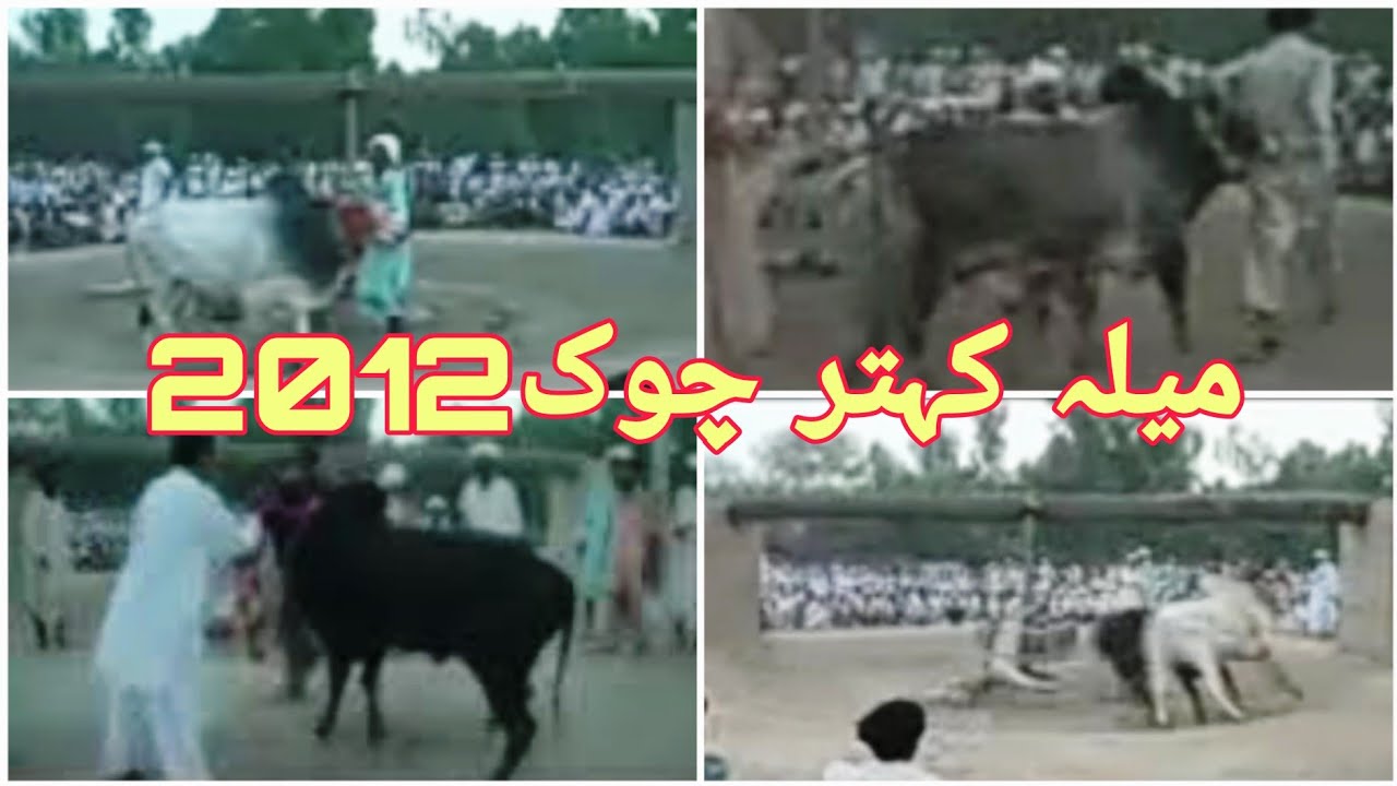 میلہ کہتر چوک 2012 درگھ گروپ۔ کہتر گروپ۔ مشتاق ہانس اکبر سہارن بشیر مرجانا آخری بیل ماہڑے آلا🌹👑🐂🇵🇰☀️