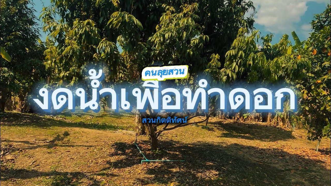 งดน้ำเพื่อทำดอกผลไม้