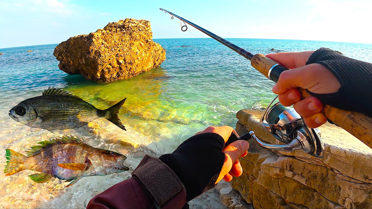 Pescata ESPLORATIVA in Scogliera! Spinning da Riva alle porte dell'Inverno - VLOG