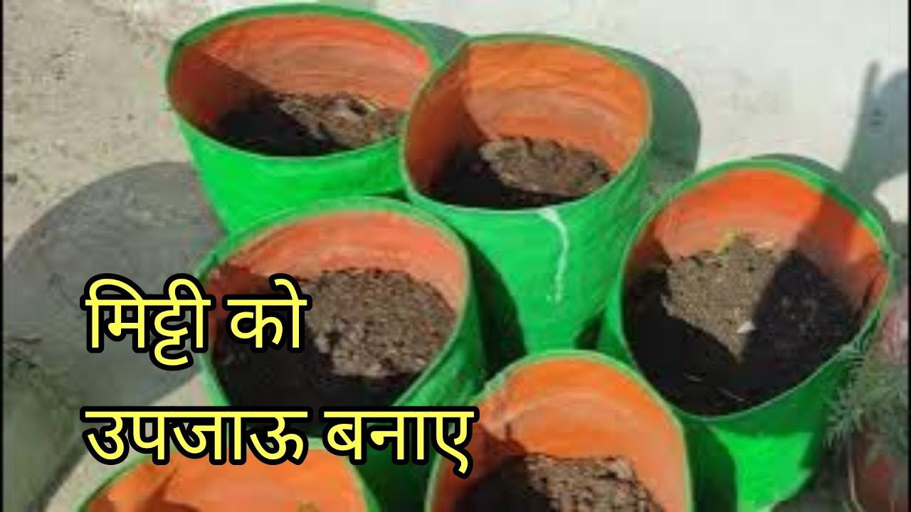 How to make fertile soil. Improve your soil quality