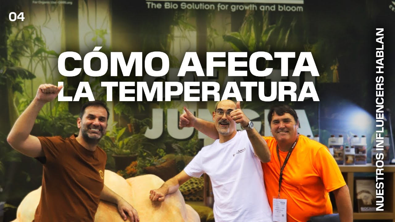 Nuestros influencers hablan — CÓMO AFECTA LA TEMPERATURA
