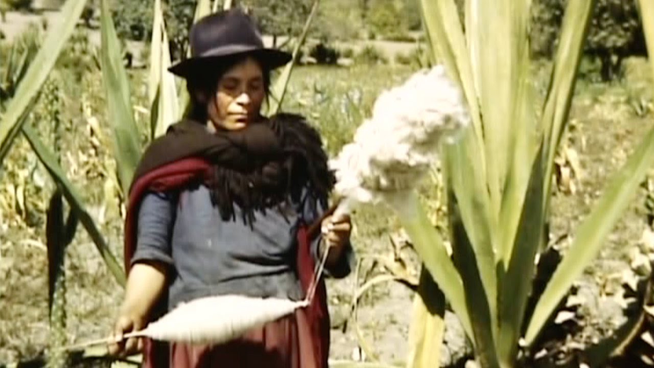 1949: Ecuador: Reel 6 (1949) Watson Kintner