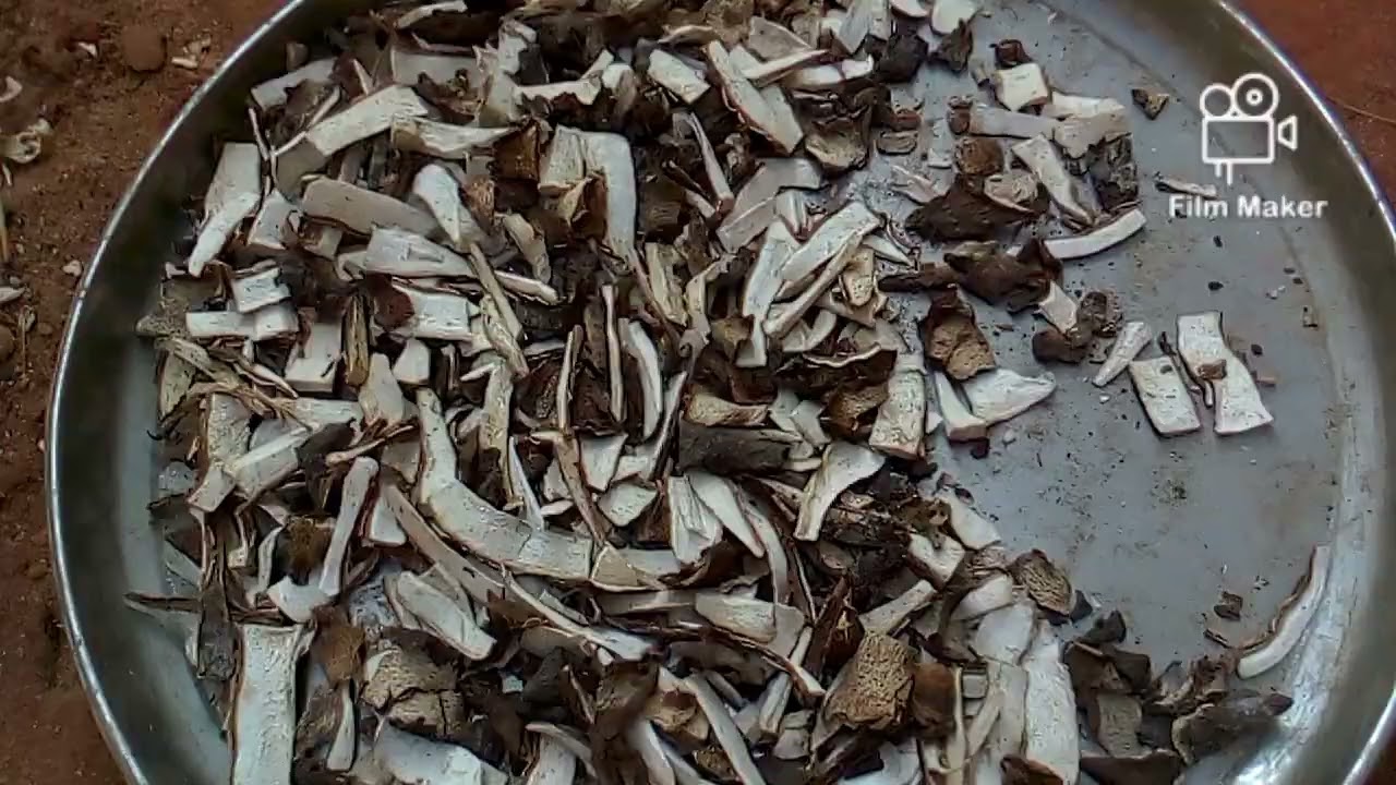 how to make formulated feed for snail part 1 video (4)