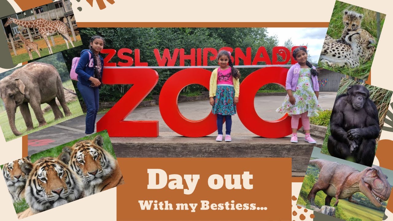 A Day out at Whipsnade Zoo | The UK's Biggest Zoo | with Besties