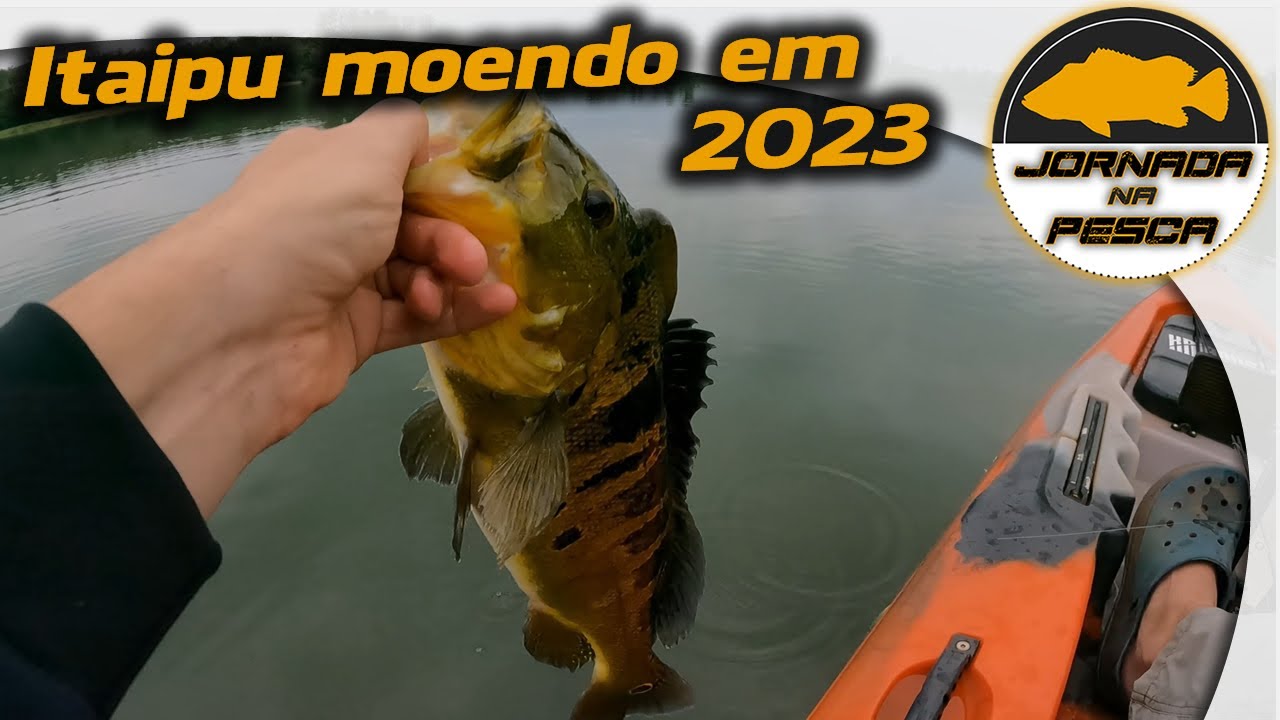 FESTIVAL de Pancandas na Superfície - Lago de Itaipu. Tucunarés Malucos de 2023