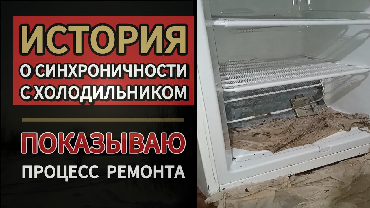 Показываю как мой холодильник учил меня. История с синхроничностью. Часть 1