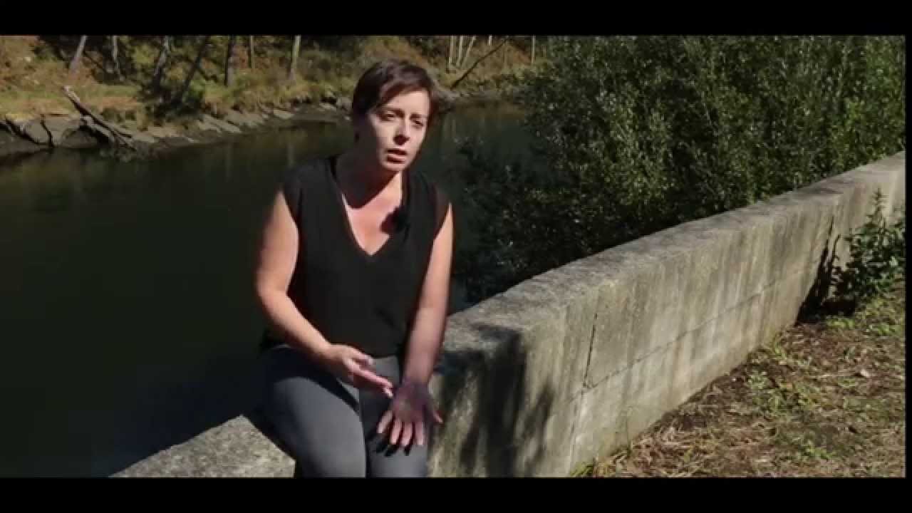 La Acuicultura Continental en Galicia