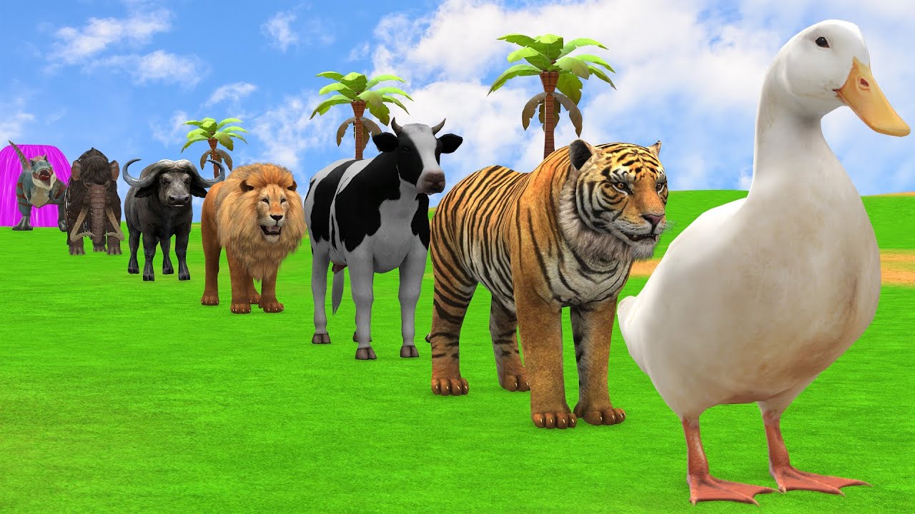 Long Slide Game with Cow Elephant Gorilla Hippopotamus Tiger 3d Animal Game Funny 3d Animals