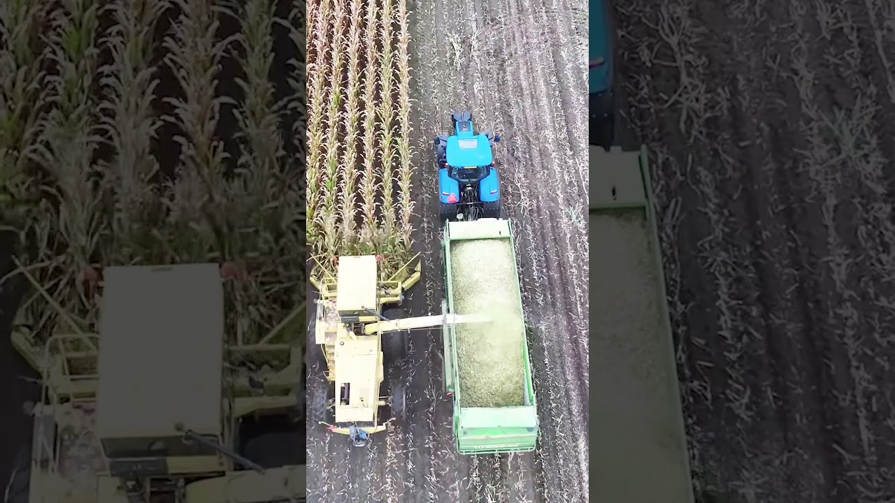 Harvesting Tech in Action #automobile #efficientharvesting #modernfarming #farming #agriculture