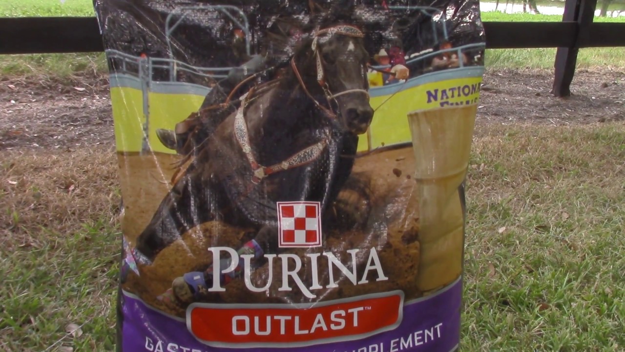 Purina Outlast Gastric Support Supplement Review