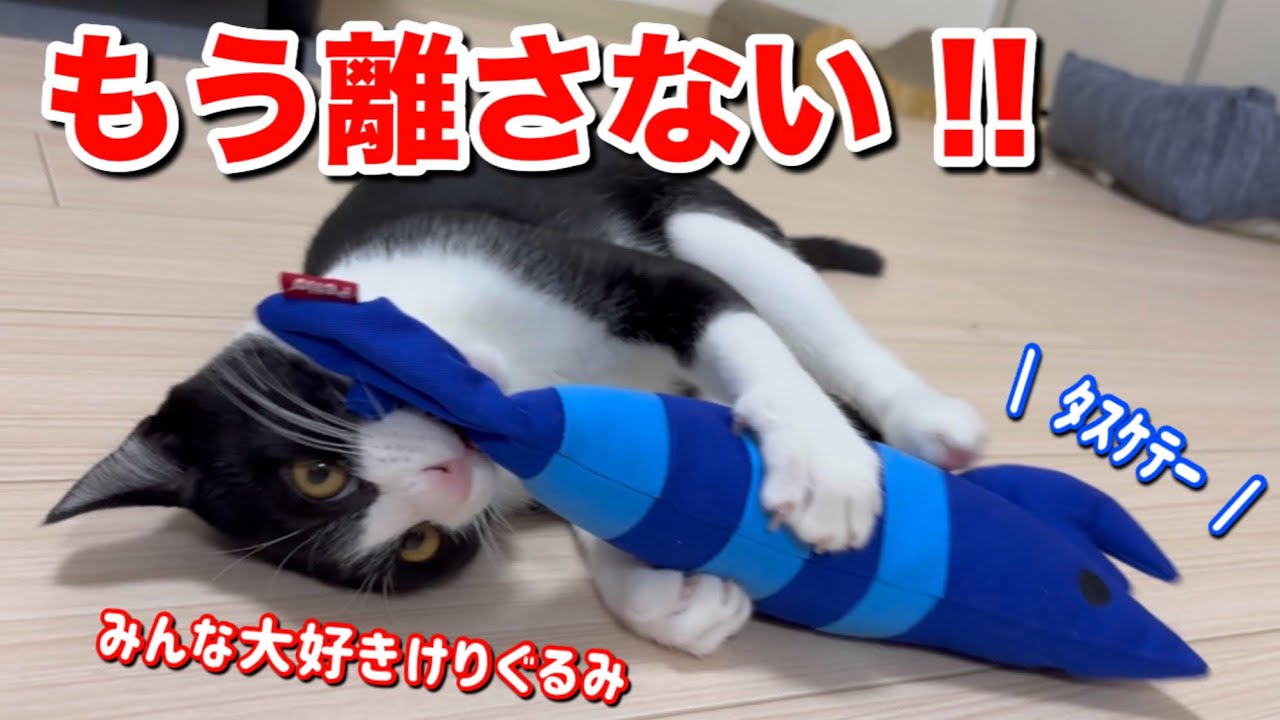 【猫との暮らし】けりぐるみをプレゼントした結果…