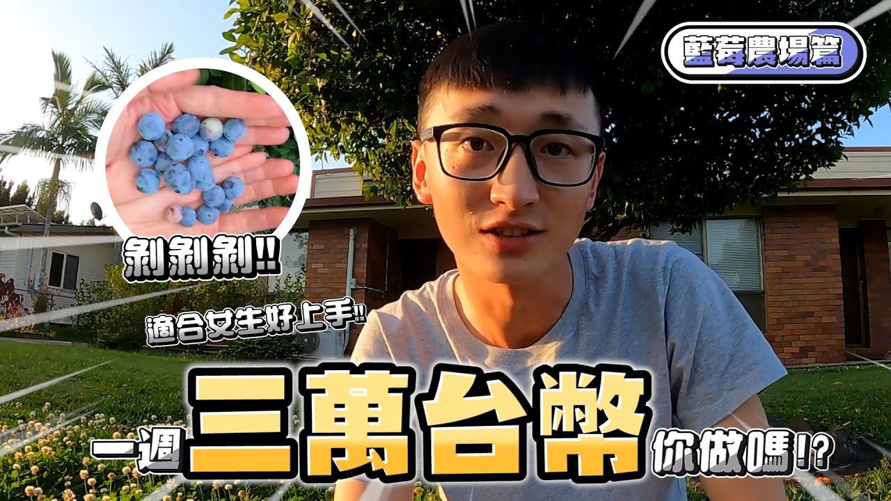 [2022]澳洲打工度假：一週可賺三萬台幣！|最適合女生及新手的農場工作！|我卻沒有很喜歡！？｜Working in Australia 🇦🇺