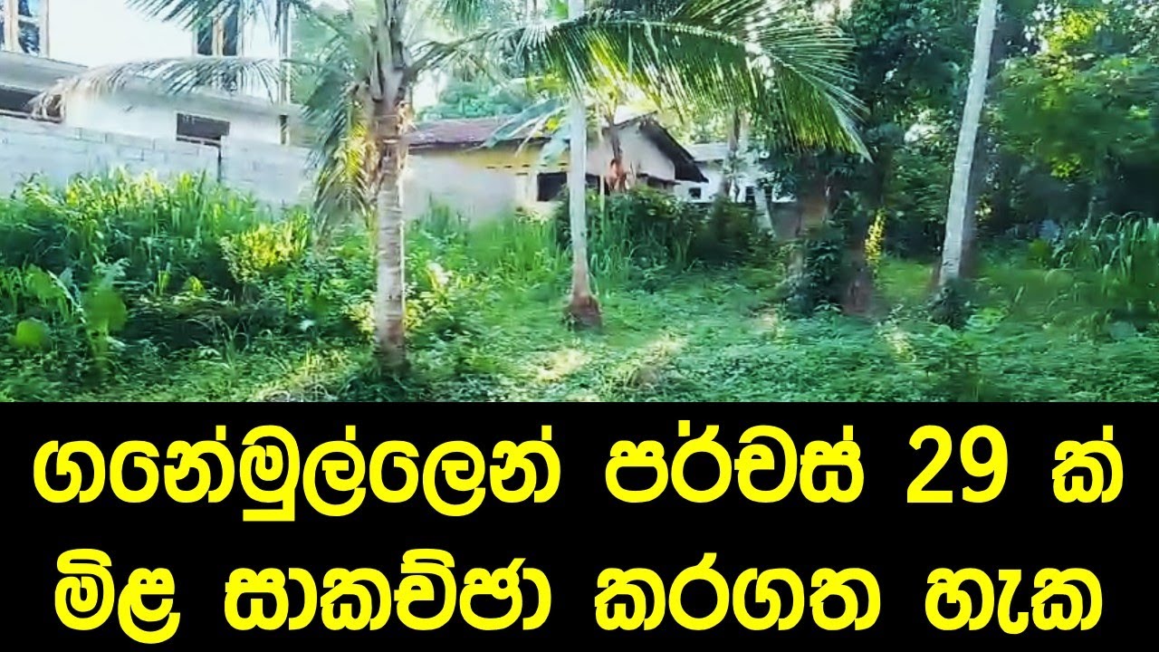 land for sale in ganemulla | real estate | land for sale | Luxury Sri Lanka | Maddumaya