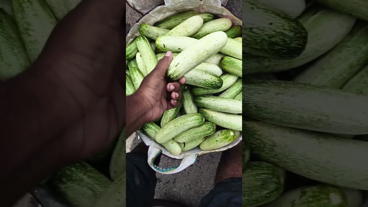 how to West Bengal Malda vegetable market today price 🥔🍆update#vegetable#sorts#viral