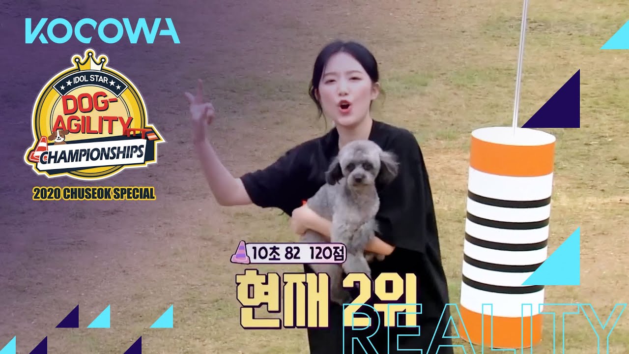 SHUHUA and Haku start first [2020 Idol Star Dog agility Championships]