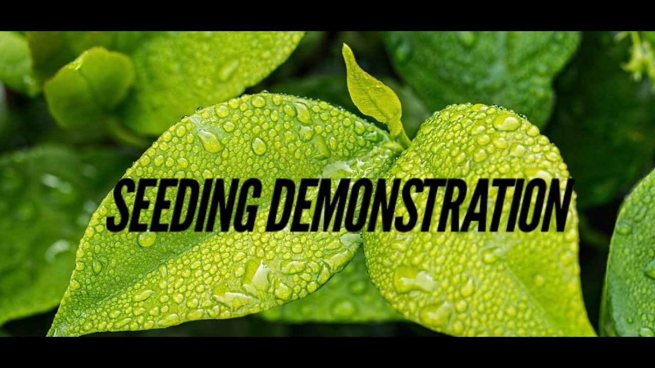 Seeding Demonstration