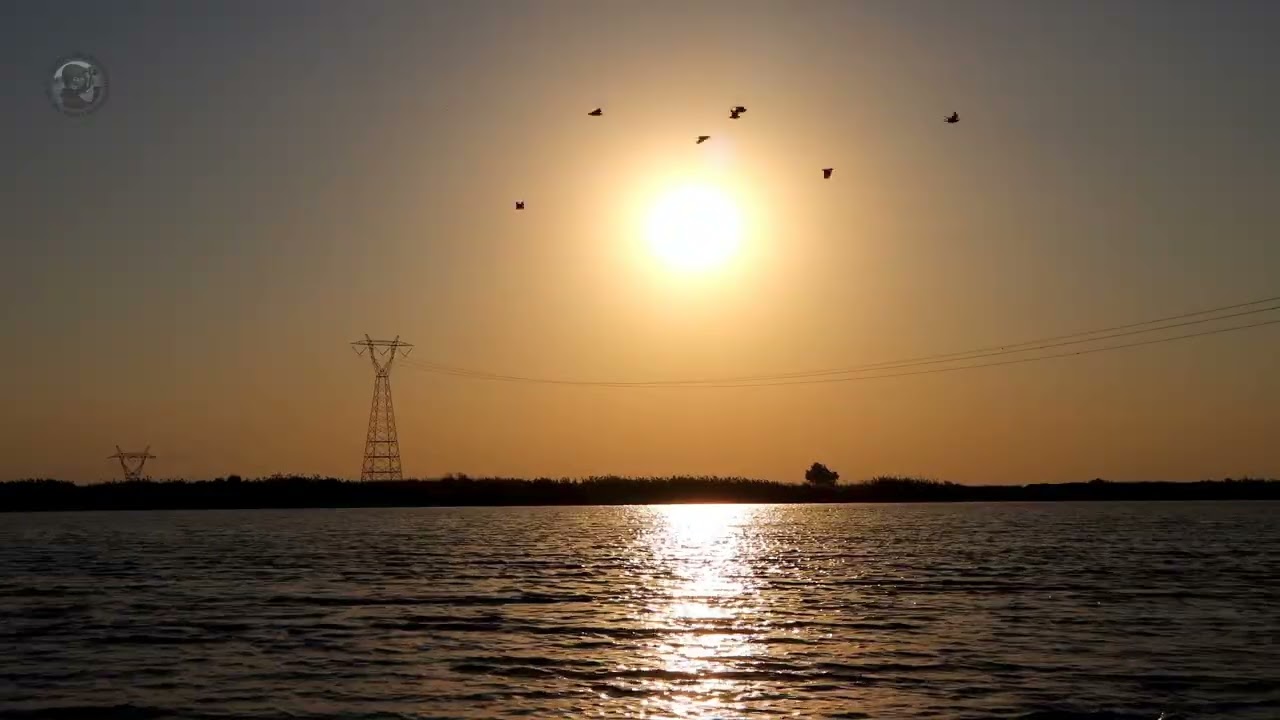 🎥 الريف الواسطي #1