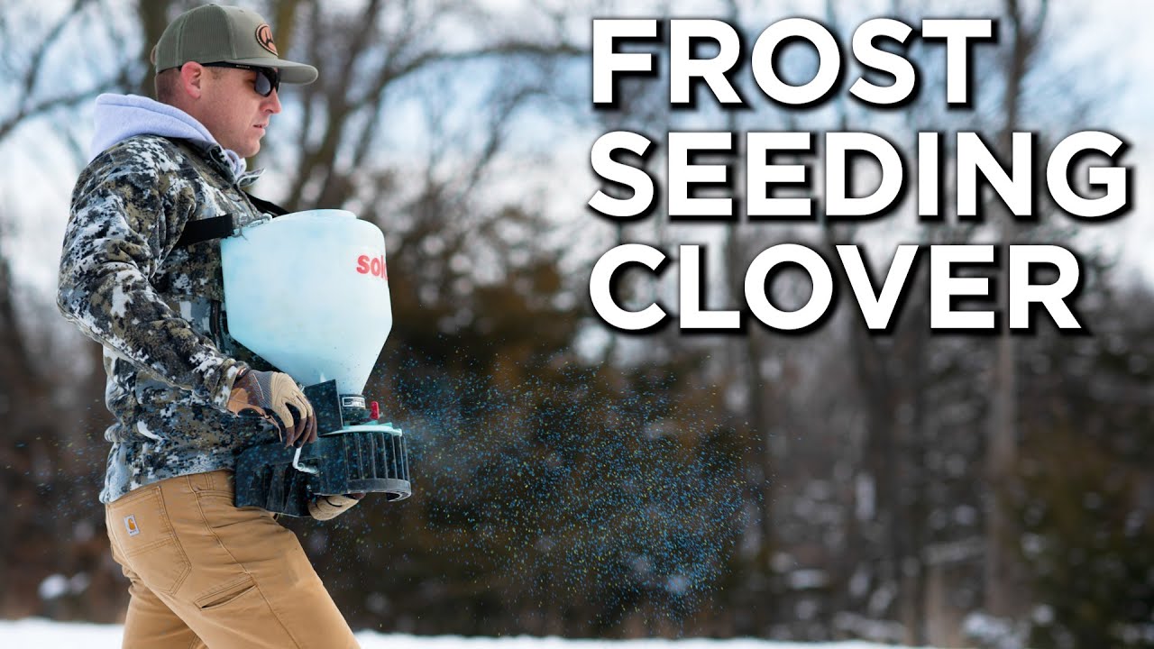 Frost Seeding Clover! | In Established Plots & New Plots