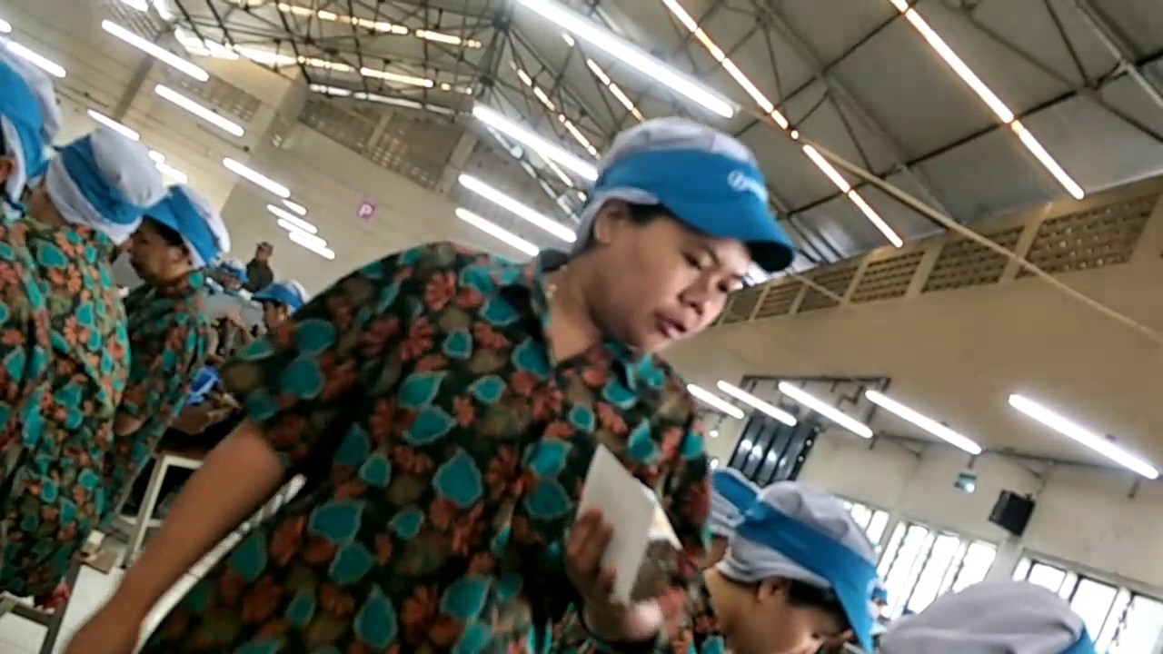 Jalan jalan di pabrik roko djarum kretek kudus