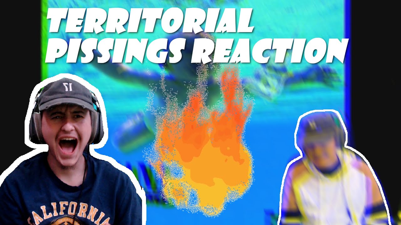 Nirvana - Territorial Pissings Reaction