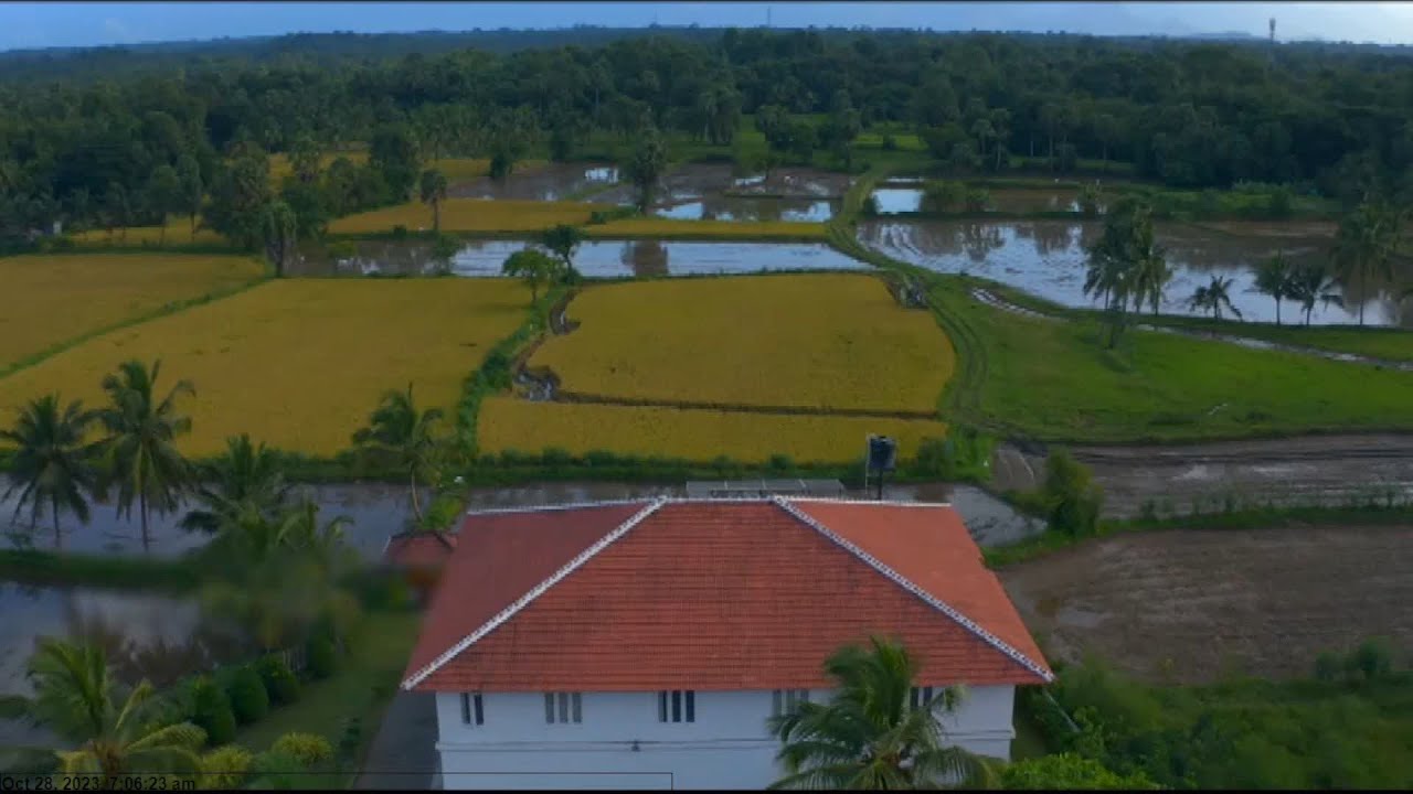കേരളത്തിൻറെ കലവറയെന്നാണ് പാലക്കാട് അറിയപ്പെടുന്നത് അറിയാം പാലക്കാടിൻറെ  പ്രത്യേകതകൾ ?