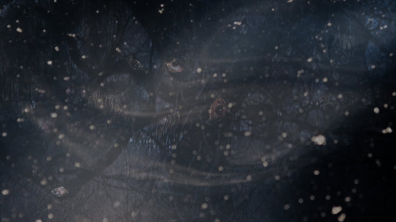 Trelldom - Between the World [Official Visualizer]