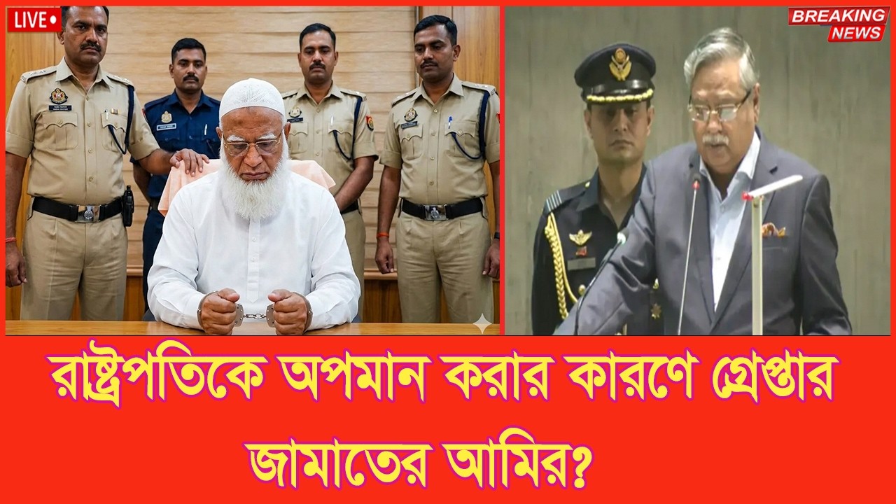 রাষ্ট্রপতিকে অপমান করার কারণে গ্রেপ্তার জামাতের আমির ? । Awami League | Election